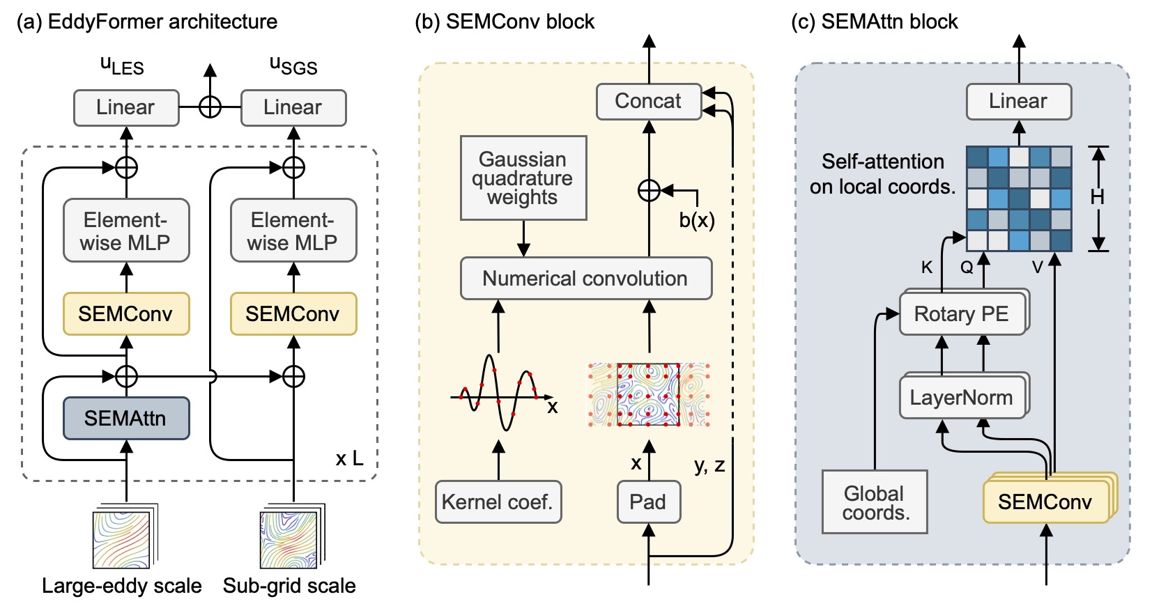 EddyFormer Architecture